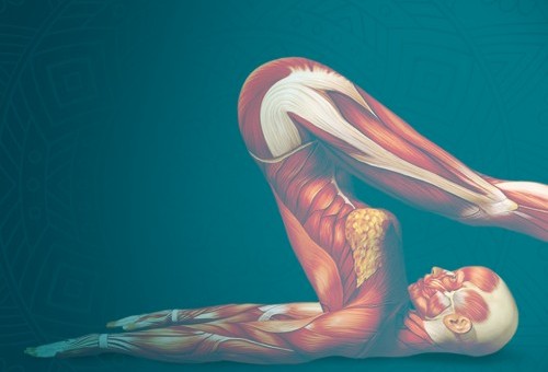 Szkolenia kompetencyjne SJIP – świetna formuła łącząca teorię z praktyką