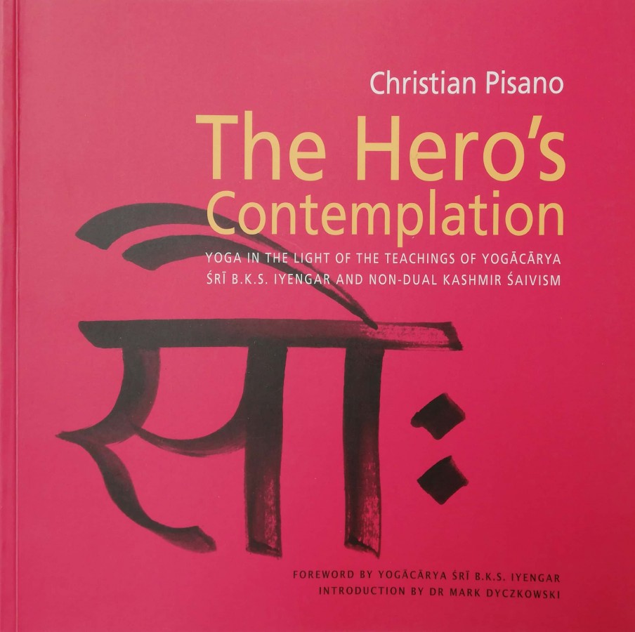 The Hero's Contemplation